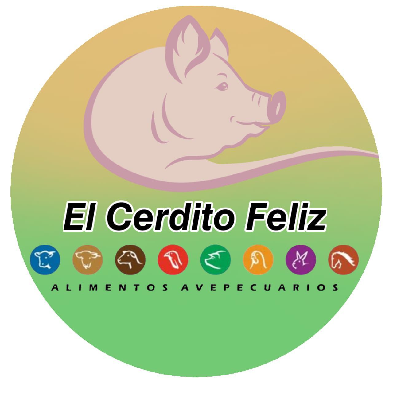 El Cerdito Feliz Dzilam Gonzalez